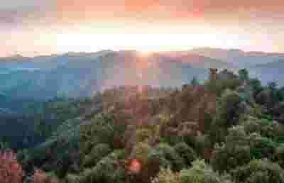 誉满杏林扬国粹 胸怀天下济苍生 中国当代名医——邱胜亮